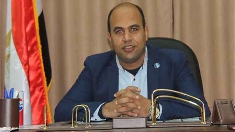 الهمامي: قرار السيسي