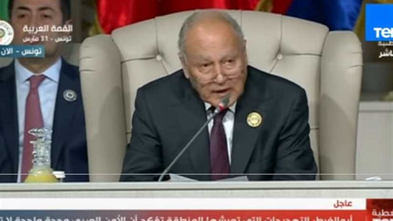 أبو الغيط: التدخلات