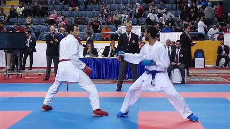 سيد نصر: شكرا للأشقاء