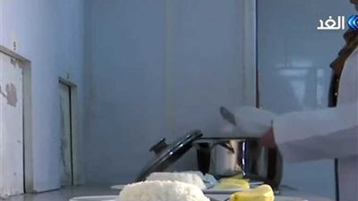 شاهد.. كيف يتم اختبار الأرز المستورد في مصر