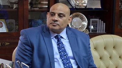 رئيس الجالية المصرية بروسيا: المشاركة باستفتاء التعديلات واجب وطني