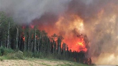 البرتغال تعلن بدء الاستعدادات لذروة موسم حرائق الغابات