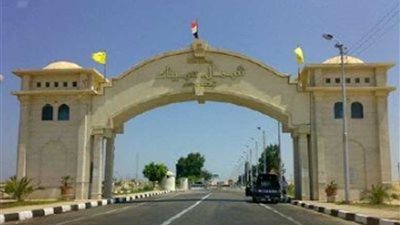 شمال سيناء تشارك في الحملة القومية لتحصين الأبقار والأغنام