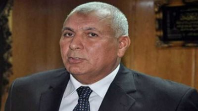 محافظ الوادي الجديد: خطة للاستفادة من تقاوي القمح عالية الإنتاجية