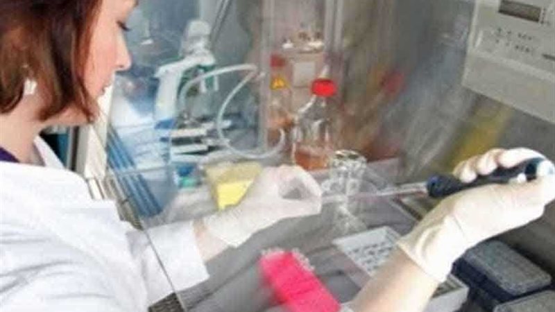 الولايات المتحدة