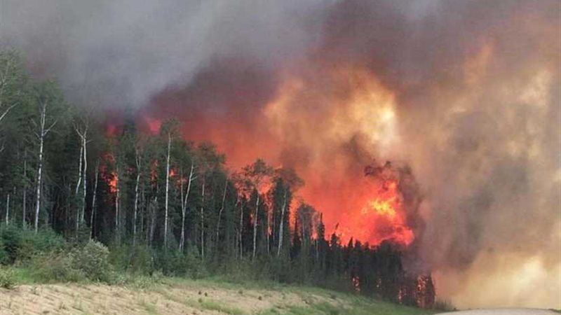 البرتغال تعلن بدء