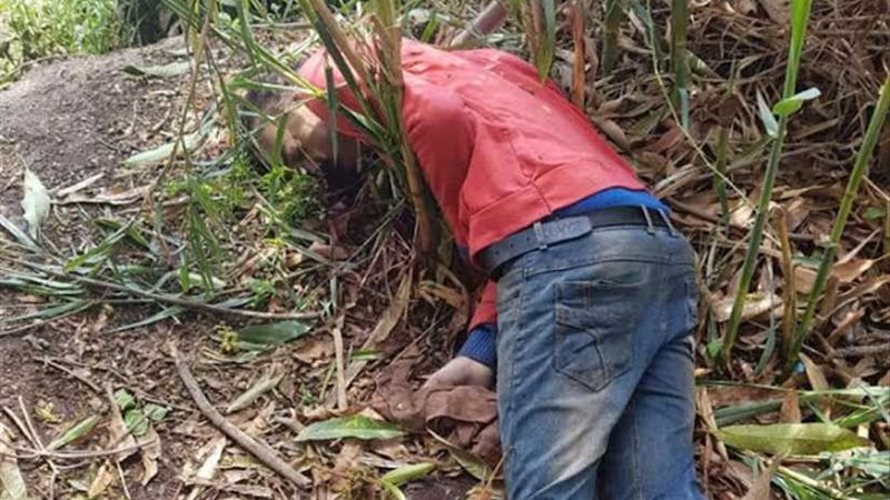 كشف غموض العثور على