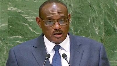 وزير الخارجية السوداني يؤكد خصوصية العلاقة مع مصر