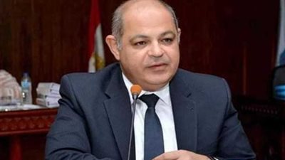 محافظ الغربية: فحص 3ر2 مليون مواطن ضمن مبادرة 