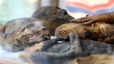 «توتر» وزوجته «تا شريت» قصة كشف أثري لعازفة الصلاصل كاد يقع في يد اللصوص.. بالصور