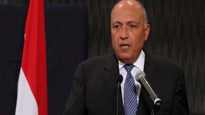 سامح شكري: هناك إرادة مشتركة لتنفيذ الاتفاقيات بين البلدين