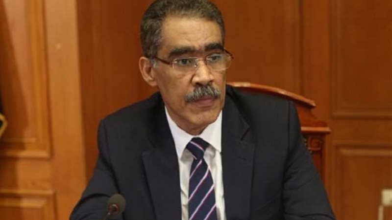 ضياء رشوان: مصر قدمت