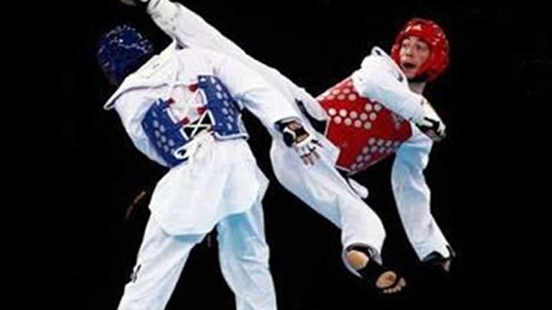 شهد الشربيني تحقق