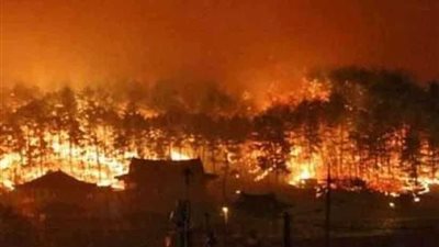 كوريا الجنوبية: حريق 