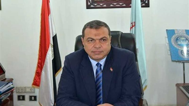 القوى العاملة: مصر