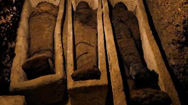 سر مقبرة الـ50 مومياء