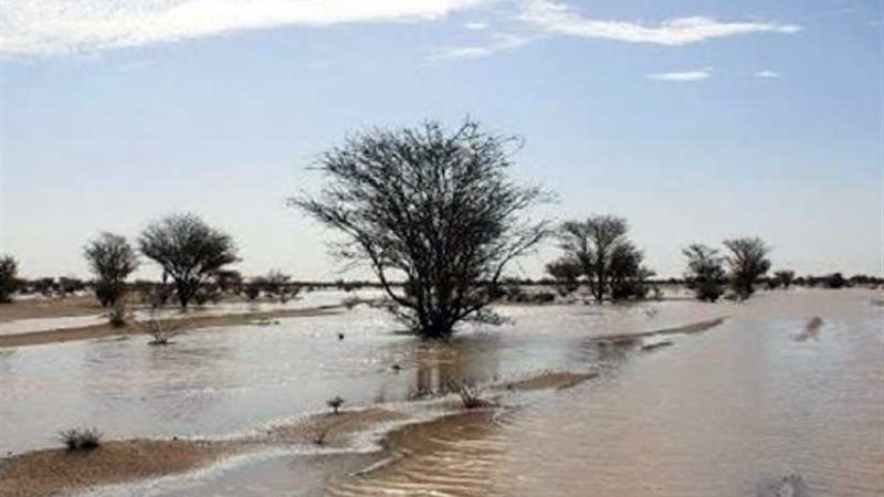 ارتفاع حصيلة ضحايا