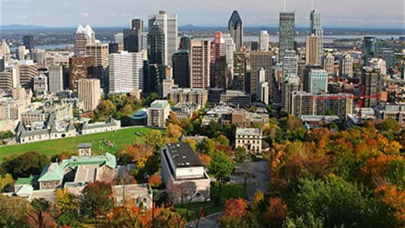 المئات يتظاهرون في