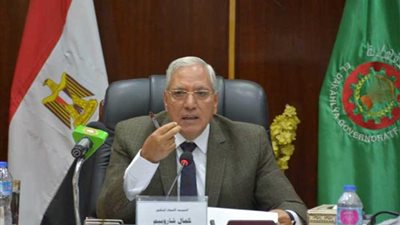 محافظ الدقهلية: صرف منطقة حوض البقمة يتكلف 12 مليون جنيه