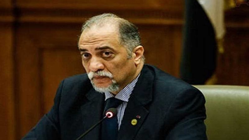 رئيس ائتلاف دعم مصر