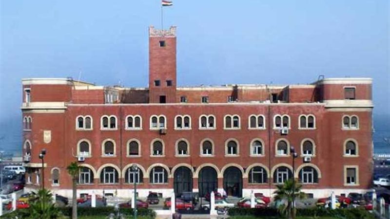 ورشة عمل بجامعة الإسكندرية