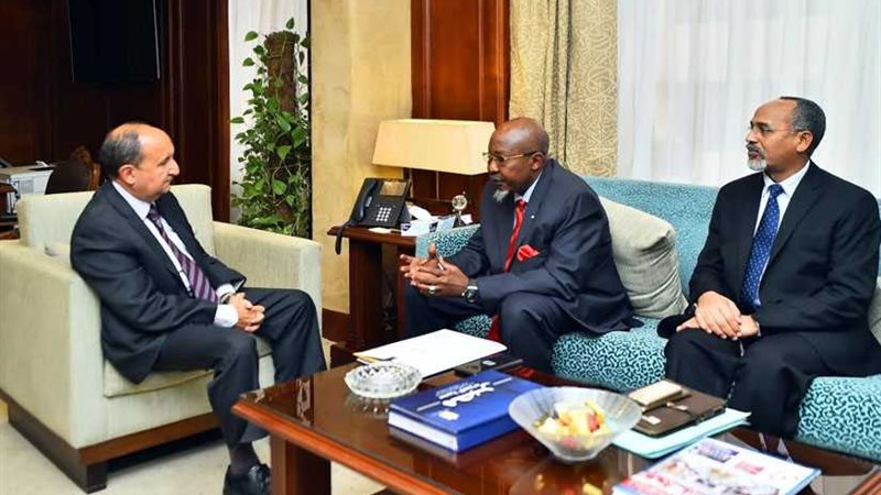 عمرو نصار: تشكيل