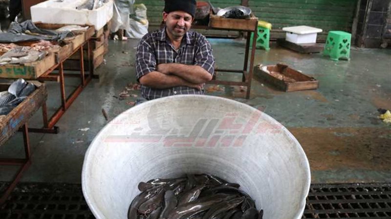 ضحكة رضا رغم الشقا