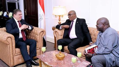 تعاون إعلامي بين مصر والكاميرون.. 