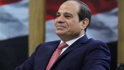 سياسيون: الرئيس السيسي يرسي مبادئ مهمة جدا بزيارته للدول الإفريقية
