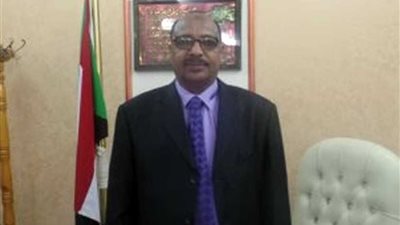 قنصل السودان في أسوان : حركة النقل بين مصر والسودان طبيعية