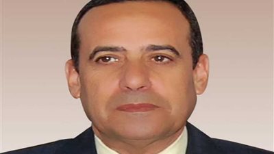 محافظ شمال سيناء يشكل لجنة للمرور على محلات الجزارة