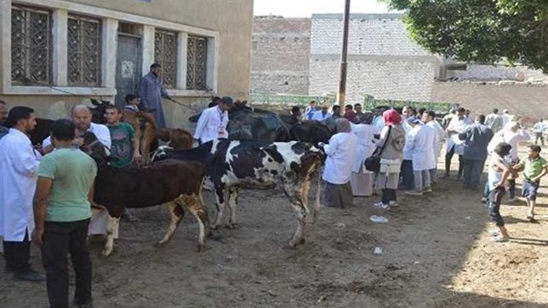 تحصين 99 ألف رأس