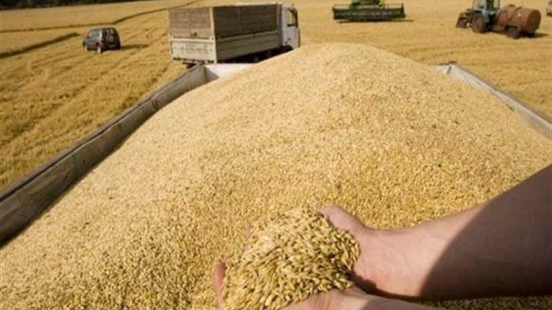 السلع التموينية تتعاقد