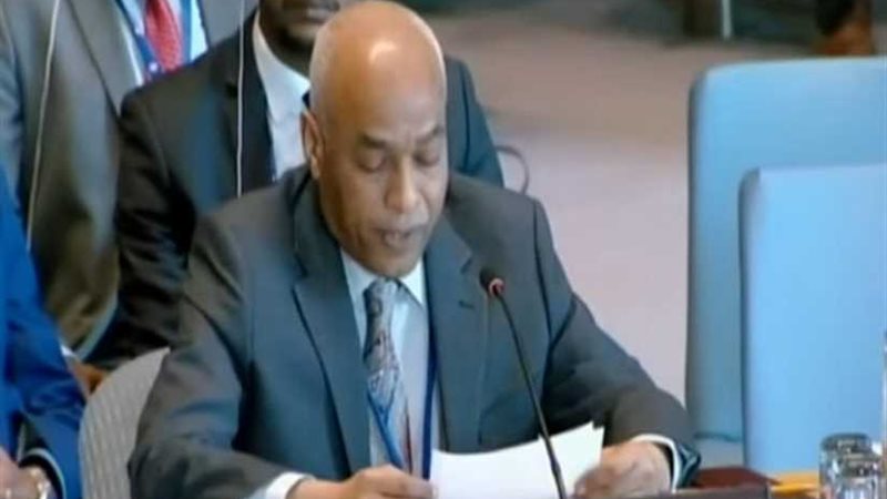 مندوب السودان بالأمم