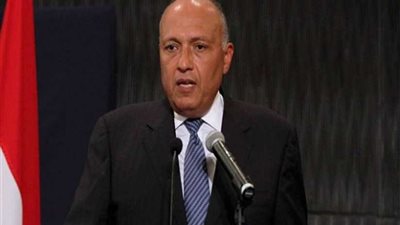 وزير الخارجية يؤكد أهمية التعاون الوثيق بين مصر وبولندا