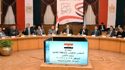 44 لجنة لفرز 8 ملايين صوت بالقاهرة في استفتاء التعديلات الدستورية