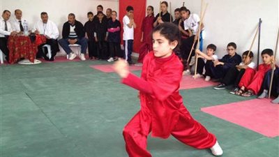 الكونغ فو بـ