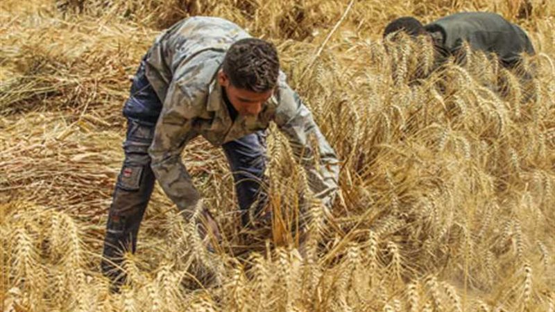 2.1 مليون طن توقعات