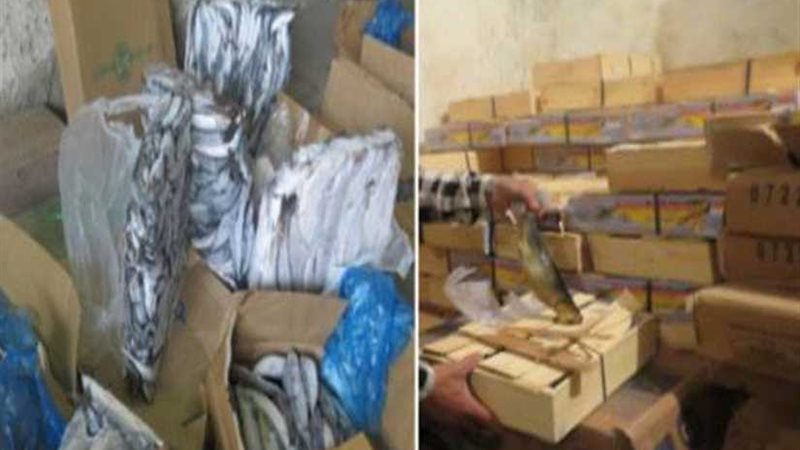 ضبط 31 طن أسماك فاسدة