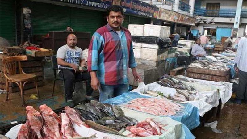 تعرف على أسعار الأسماك