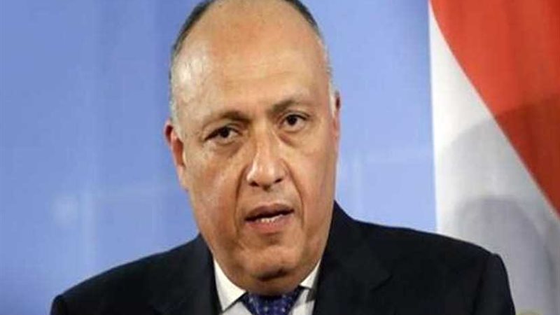 شكري يبحث المُستجدات