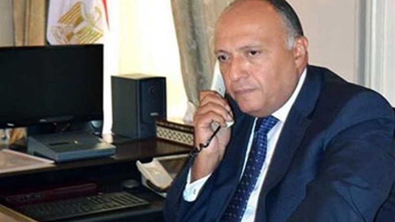 وزير الخارجية يتلقى