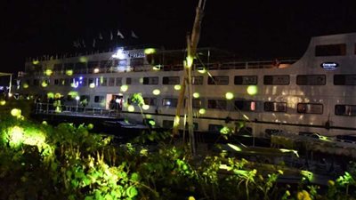 وزيرة الصحة: المستشفى العائم تعالج 55 الف سيدة وطفل بالمجان في الصعيد