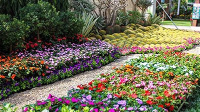 افتتاح معرض زهور الربيع بالحديقة النباتية بأسوان