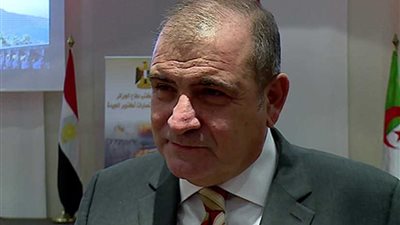 سفير مصر بالجزائر: مستعدون لإجراء الاستفتاء على التعديلات الدستورية