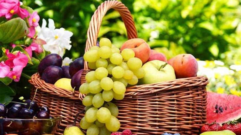 أسعار الفاكهة اليوم