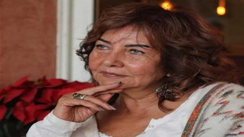 قطاع القنوات المتخصصة