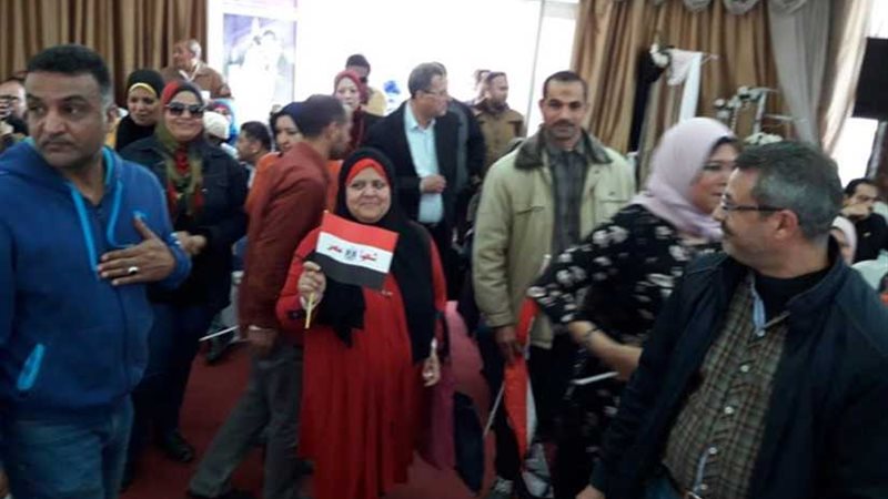 تعليم الإسكندرية