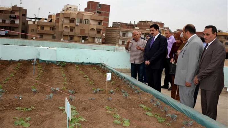 محافظ القليوبية يتفقد