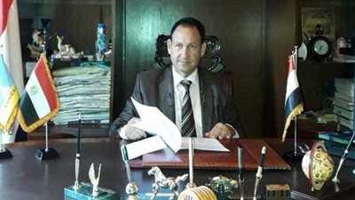 خفاجي: الشعب يرسم المنهج السياسي للدولة أمام صناديق الاقتراع